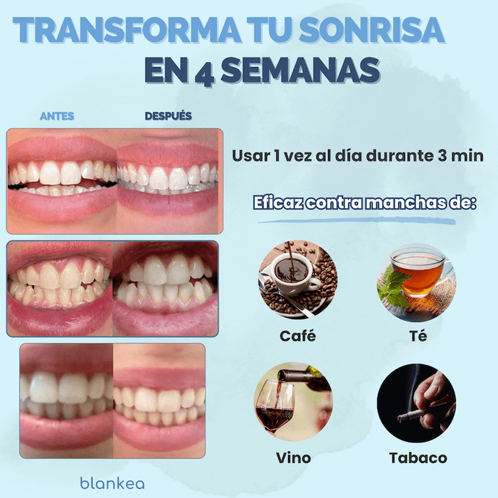 Blankea Dental Pro